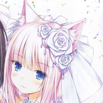 北影节开幕式